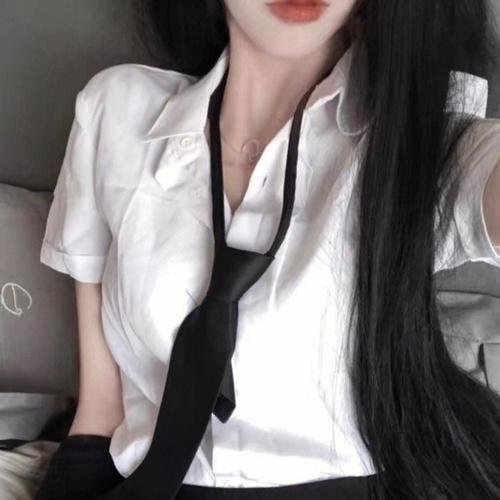 猫与苍蝇